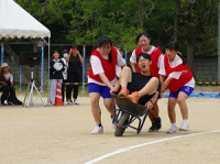 IMGP8505